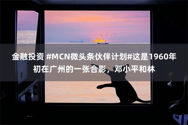 金融投资 #MCN微头条伙伴计划#这是1960年初在广州的一张合影，邓小平和林