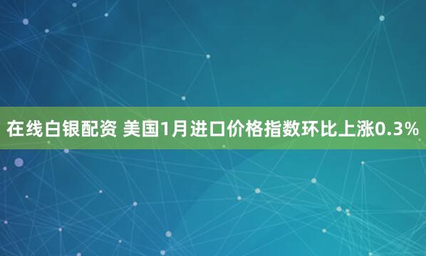 在线白银配资 美国1月进口价格指数环比上涨0.3%