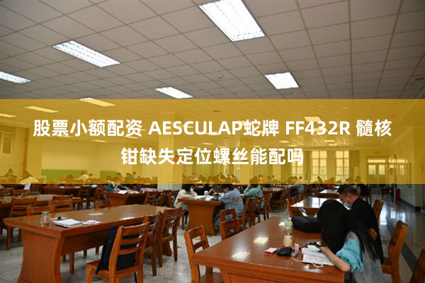 股票小额配资 AESCULAP蛇牌 FF432R 髓核钳缺失定位螺丝能配吗
