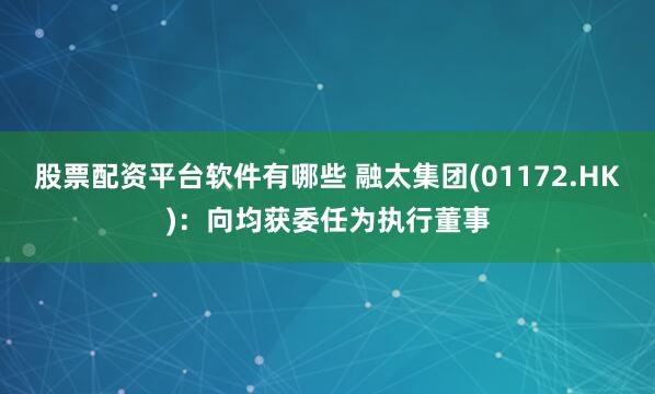 股票配资平台软件有哪些 融太集团(01172.HK)：向均获委任为执行董事
