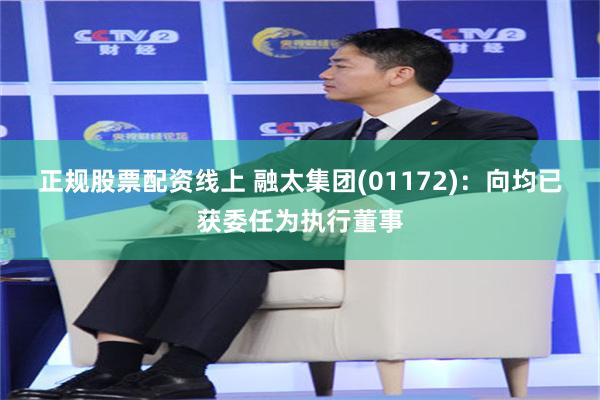 正规股票配资线上 融太集团(01172)：向均已获委任为执行董事
