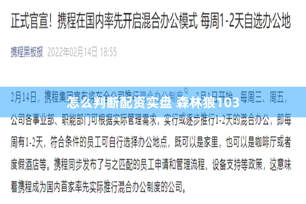 怎么判断配资实盘 森林狼103
