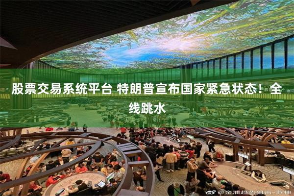 股票交易系统平台 特朗普宣布国家紧急状态！全线跳水