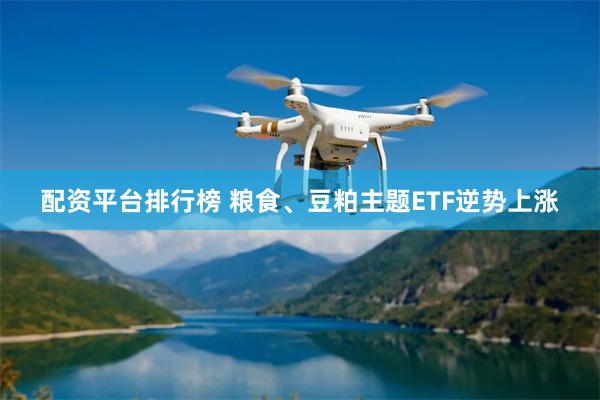 配资平台排行榜 粮食、豆粕主题ETF逆势上涨