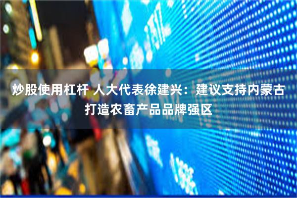 炒股使用杠杆 人大代表徐建兴：建议支持内蒙古打造农畜产品品牌强区