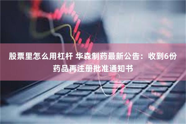 股票里怎么用杠杆 华森制药最新公告：收到6份药品再注册批准通知书