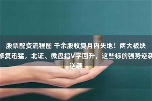 股票配资流程图 千余股收复月内失地！两大板块修复迅猛，北证、微盘指V字回升，这些标的强势逆袭