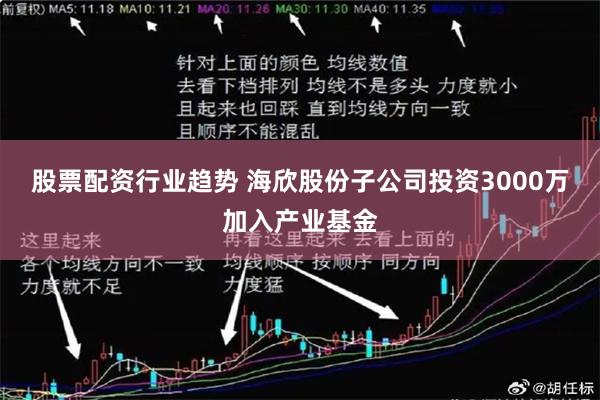股票配资行业趋势 海欣股份子公司投资3000万加入产业基金