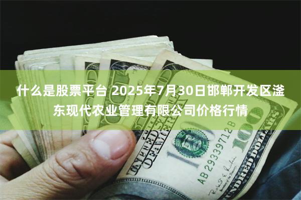 什么是股票平台 2025年7月30日邯郸开发区滏东现代农业管理有限公司价格行情