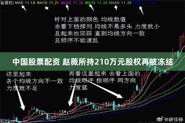 中国股票配资 赵薇所持210万元股权再被冻结