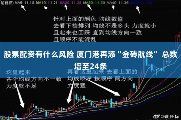 股票配资有什么风险 厦门港再添“金砖航线” 总数增至24条
